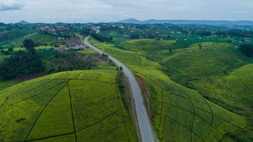 A road winding through green hills and farmland in Uganda